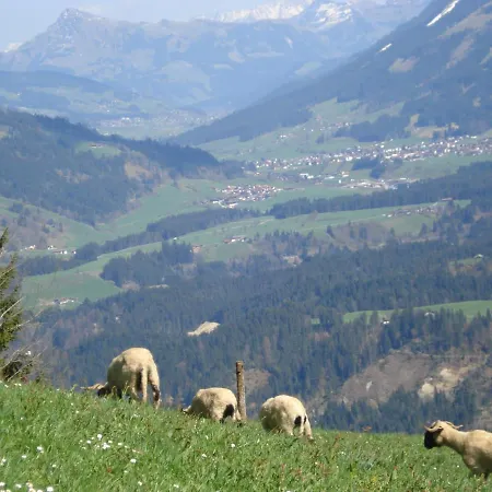 Feriehus Flecklhuette Hopfgarten im Brixental