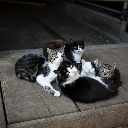 Flecklhuette Prázdninový dům Hopfgarten im Brixental