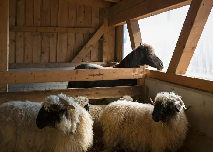 Flecklhuette بيت للعطل *