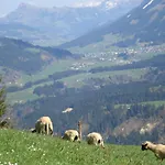 Dom wakacyjny Flecklhuette Hopfgarten im Brixental